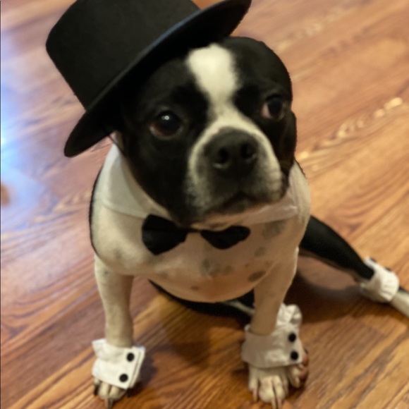 💙RUBIE’S Dog Tuxedo with Top Hat